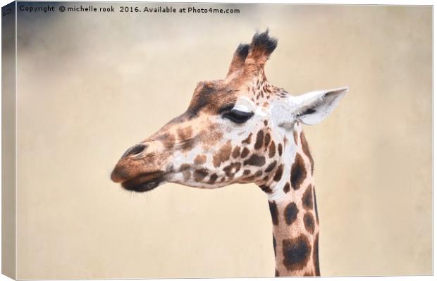graceful giraffe Canvas Print by michelle rook