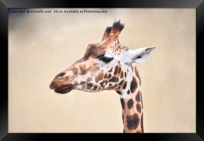 graceful giraffe Framed Print by michelle rook