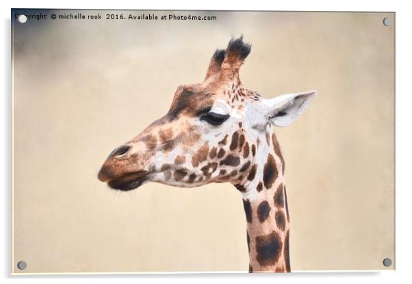 graceful giraffe Acrylic by michelle rook