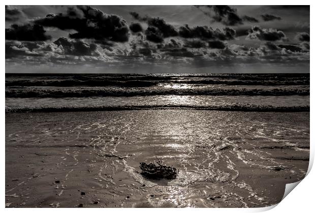 Out To Sea Print by Nigel Jones