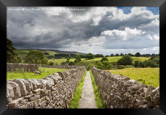Through the dry stone walls Framed Print by Gary Turner