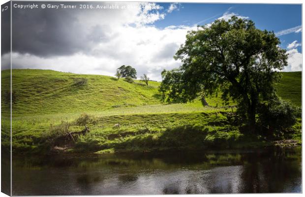 Grazing By The River Wharfe Canvas Print by Gary Turner