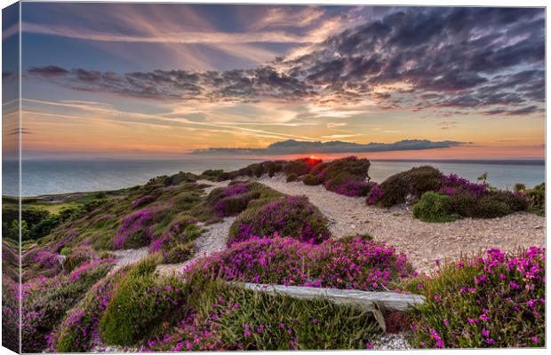 Headon Hill Sunset 2 Canvas Print by Wight Landscapes
