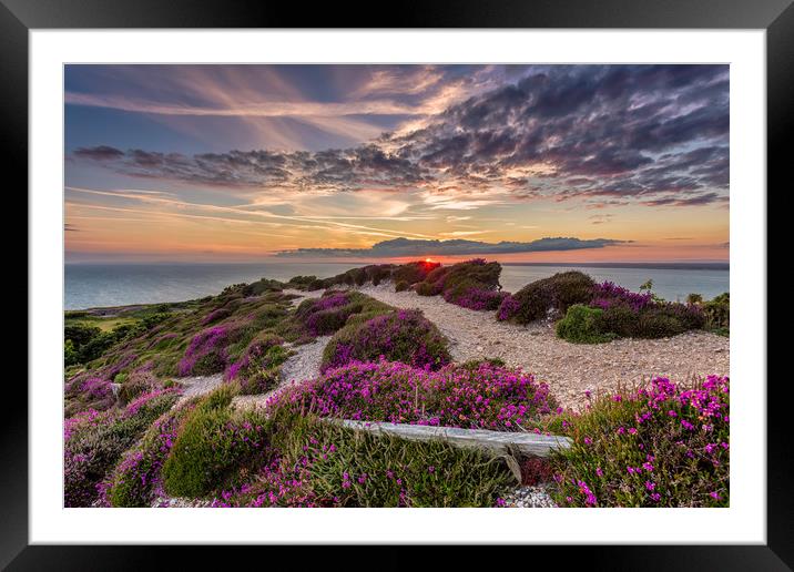 Headon Hill Sunset 2 Framed Mounted Print by Wight Landscapes