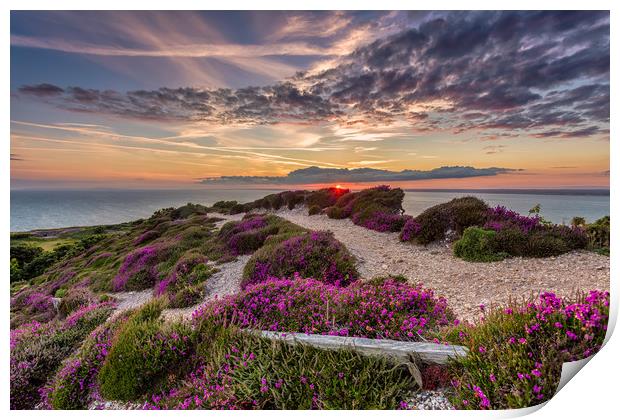 Headon Hill Sunset 2 Print by Wight Landscapes