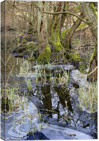 Ice reflections Canvas Print by Ray Fidler