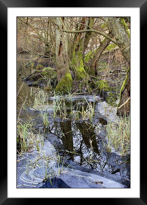 Ice reflections Framed Mounted Print by Ray Fidler