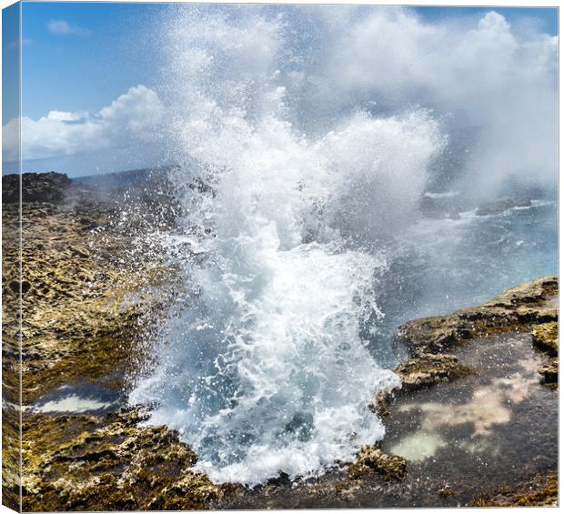   Shete Boka National park Curacao views Canvas Print by Gail Johnson