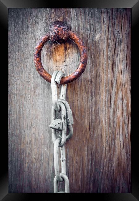 Rusty Lock Framed Print by Svetlana Sewell