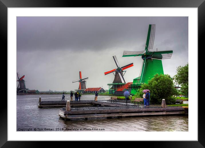 Windmills on the River Zaan Framed Mounted Print by Tom Gomez