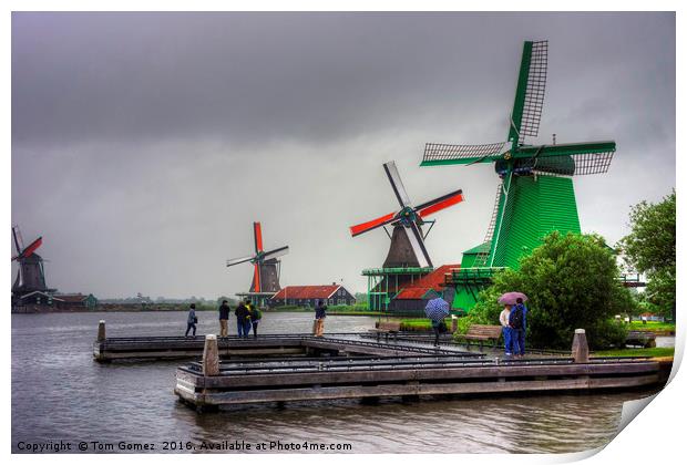 Windmills on the River Zaan Print by Tom Gomez