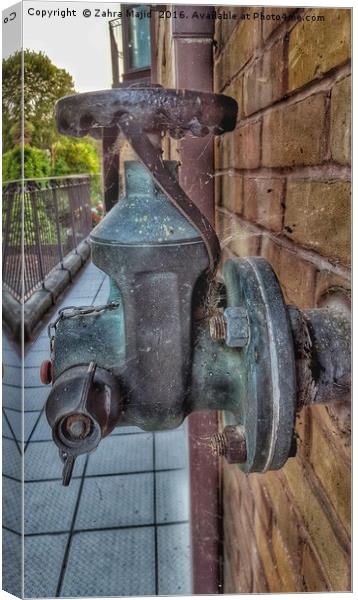 Rusty Cobweb Clad Water Pump Canvas Print by Zahra Majid