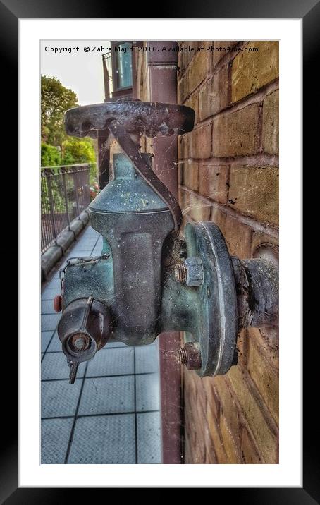 Rusty Cobweb Clad Water Pump Framed Mounted Print by Zahra Majid