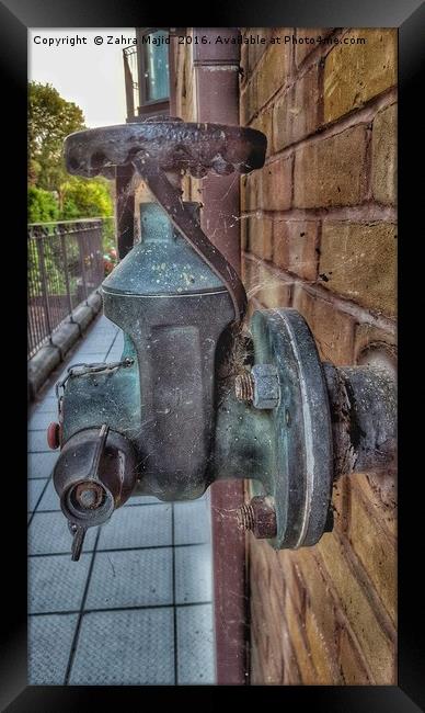 Rusty Cobweb Clad Water Pump Framed Print by Zahra Majid