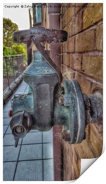 Rusty Cobweb Clad Water Pump Print by Zahra Majid