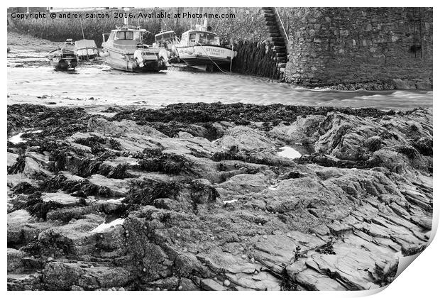 ROCKS ON SHORE Print by andrew saxton