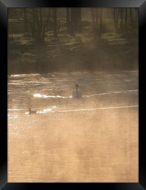 On Golden Pond. Framed Print by Stuart Thomas