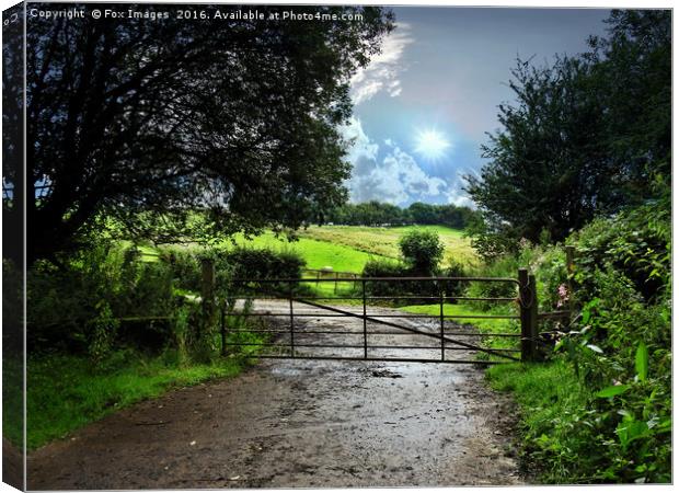 Gate to the Countryside Canvas Print by Derrick Fox Lomax