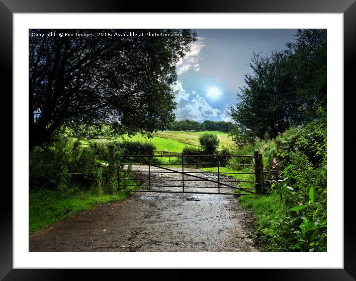 Gate to the Countryside Framed Mounted Print by Derrick Fox Lomax