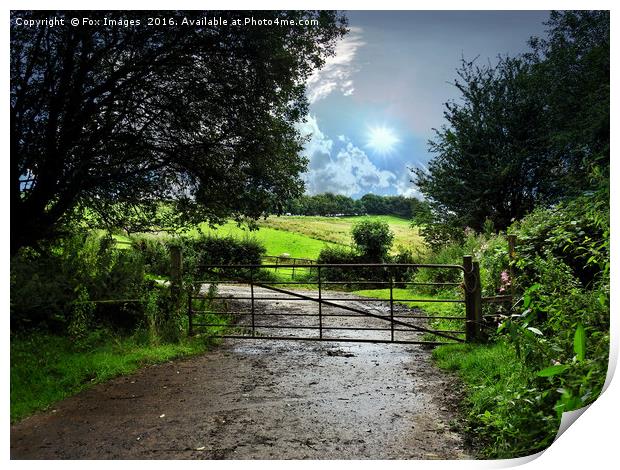 Gate to the Countryside Print by Derrick Fox Lomax