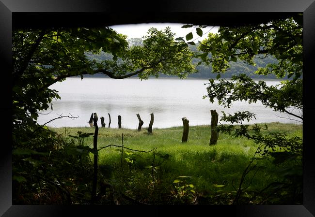 Woodland vista Framed Print by Grant Lewis