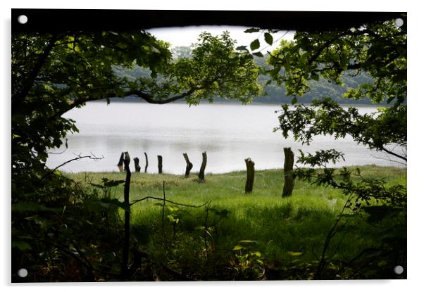 Woodland vista Acrylic by Grant Lewis
