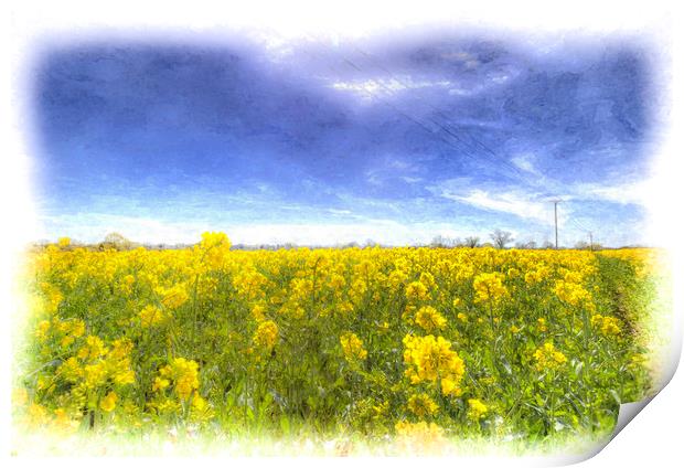 Yellow Fields Of Summer Art Print by David Pyatt