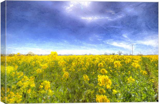 Yellow Fields Of Summer Art Canvas Print by David Pyatt