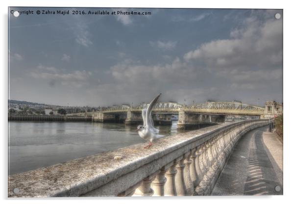 Historic Rochester Bridge Photobombed  Acrylic by Zahra Majid