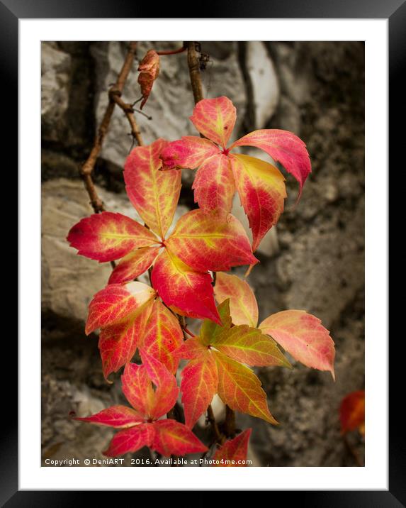 Leafs of Oliva Framed Mounted Print by DeniART 
