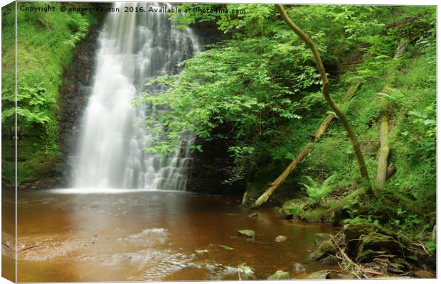 FALLING FOSS Canvas Print by andrew saxton