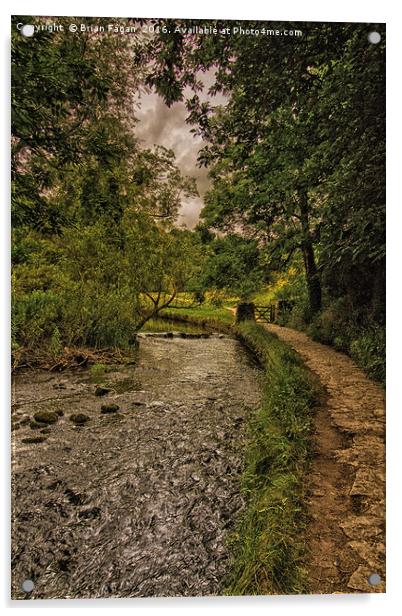 Derbyshire walk along River Dove Acrylic by Brian Fagan