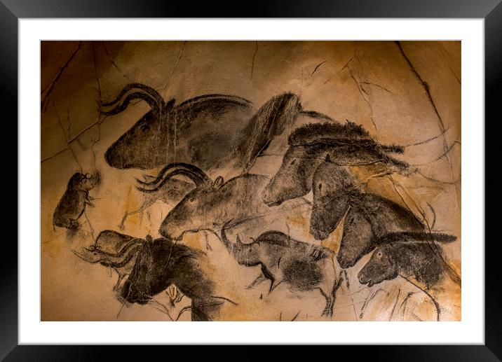 Chauvet Cave Framed Mounted Print by Arterra 