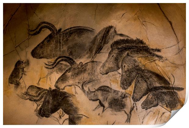 Chauvet Cave Print by Arterra 