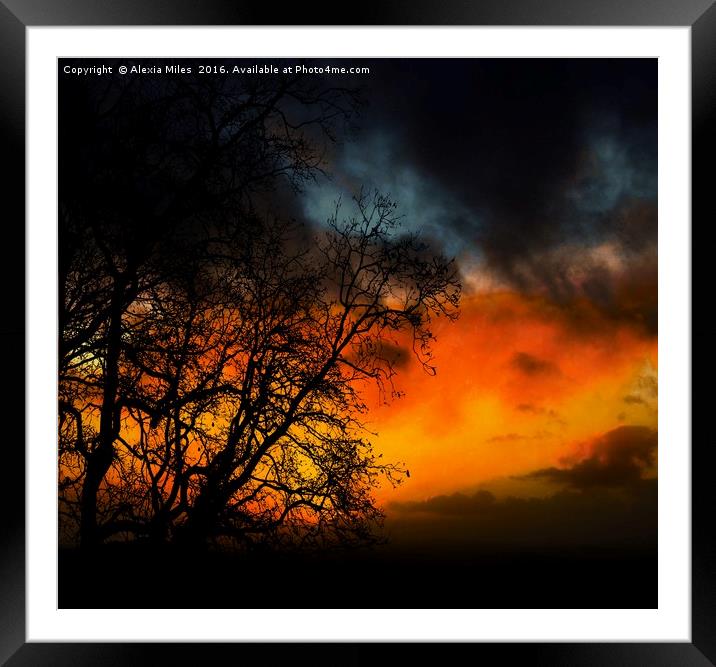 Sunset at Dawn Framed Mounted Print by Alexia Miles