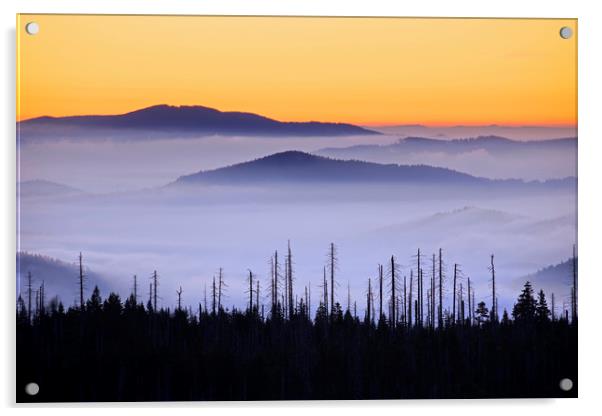 Hills in the Mist Acrylic by Arterra 