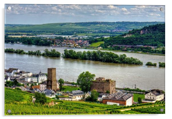 Boosenburg and Brömserburg Castles Acrylic by Tom Gomez