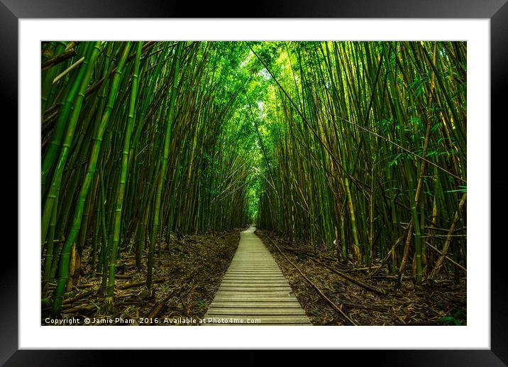 The magical and mysterious bamboo forest of Maui. Framed Mounted Print by Jamie Pham