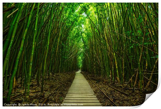 The magical and mysterious bamboo forest of Maui. Print by Jamie Pham