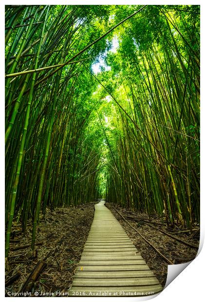 The magical and mysterious bamboo forest of Maui. Print by Jamie Pham