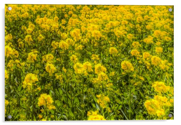 Yellow Fields Of Summer Abstract Acrylic by David Pyatt