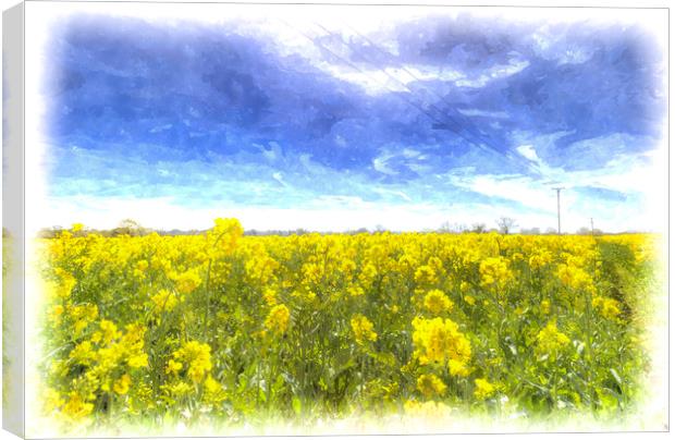 Fields Of Summer Art Canvas Print by David Pyatt