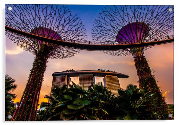 Marina Bay Sands, Singapore  Acrylic by Jordan Sapey
