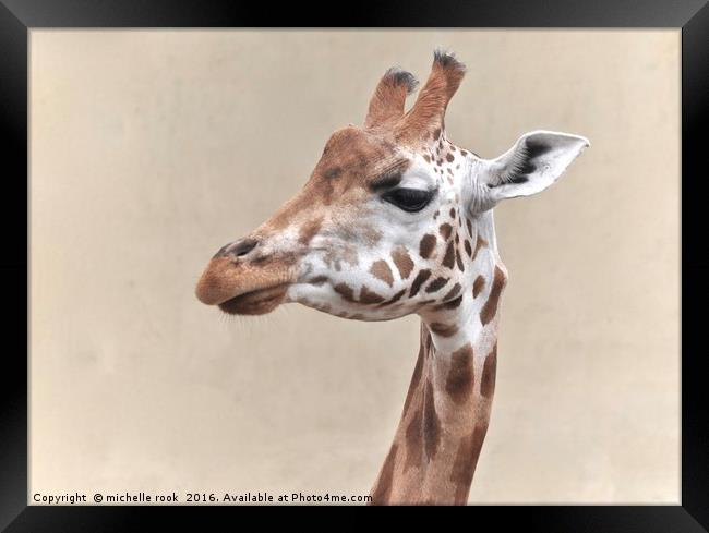 giraffe portrait Framed Print by michelle rook