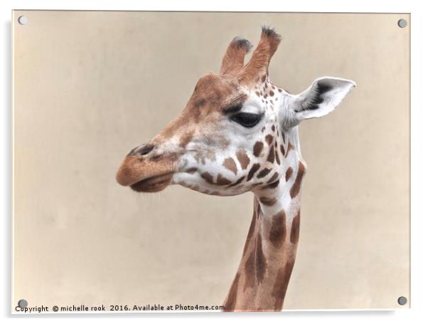 giraffe portrait Acrylic by michelle rook