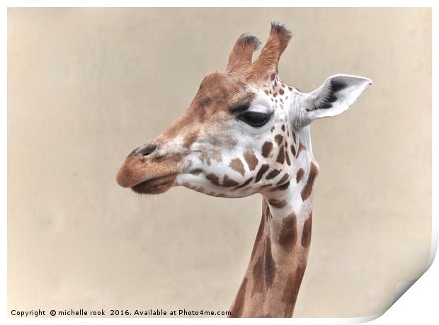 giraffe portrait Print by michelle rook
