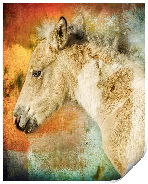 Portrait of a Filly Print by Belinda Greb