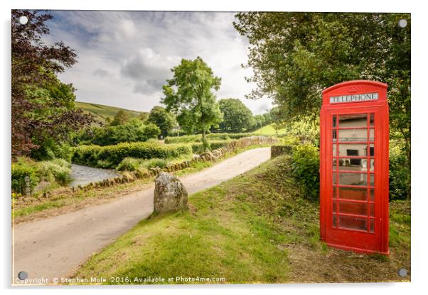 Telephone box at Malmesmeade Acrylic by Stephen Mole