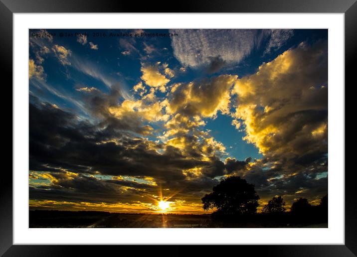Summer Sunset Framed Mounted Print by Ian Purdy