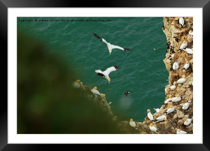 TWO FLOW OVER Framed Mounted Print by andrew saxton